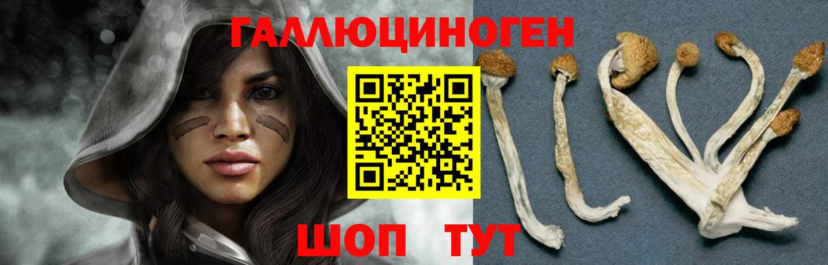 Галлюциногенные грибы ЛСД Кириши